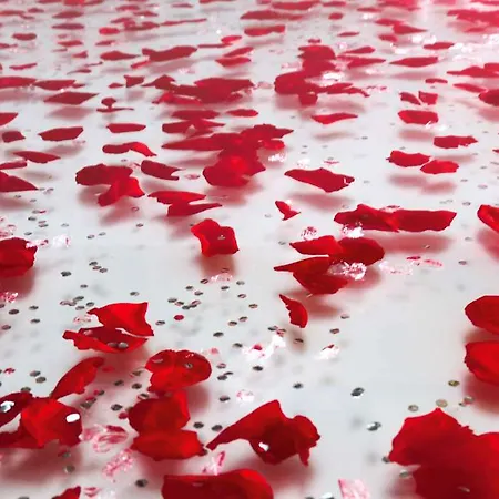 Kyriad Lyon Est Stadium Eurexpo Meyzieu 3*